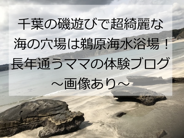 千葉で磯遊びで超綺麗な海の穴場は鵜原海水浴場 長年通うママ体験ブログ 節約しながら旅行を楽しむ2児ママの子育て雑記ブログ